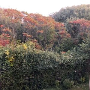 Meet your Posher, Anikka